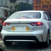 ����������˫ʵϰ��