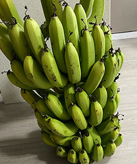 �����㽶6ëһ��