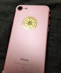 �Լ��õ�ƻ��С7ת��