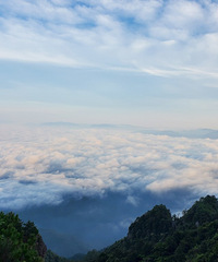 ����ɽ¶Ӫ���