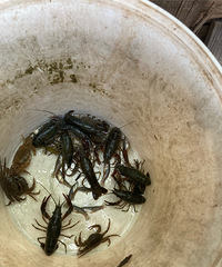 ι��Ϻ������Ѽ�����ĵ��Ǻ�ģ���û�����е���ô��