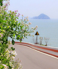 �������������ѵ�����С�����λ�ӫ�⺣�������