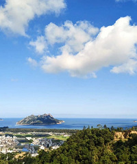 �������ռ�No.55�������ĺ��ر���峺