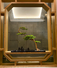 �������ռ�No.55����������С��-��ƽ��һ��-3