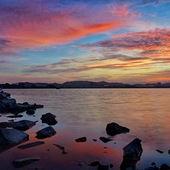 ������ʪ�صİ���