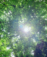 �ٺ���ǧ����������ԭ����������Щ�ط�~~