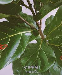 ����úÿ��ϲ�������Ͼ�ÿ��90�������Ƕ��޲�ͣ