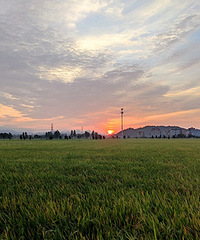 �峿����Ұ