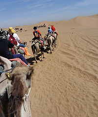 ����ɳĮ������