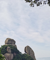 �������ռ�No.55�������ɶ���������鴫������׳�ۣ�