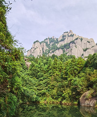 �������ռ�No.55�������ɶ���������鴫������׳�ۣ�