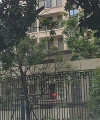 ���ǽ�����ô