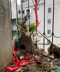 ���ˣ�6¥��̨�ϳ������ô�����������ҹ���𳵸ϻ�����