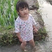 ����������ȵ�����