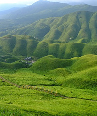 һ���޼ʵ�����ԧ��ͷ�ݳ������߽��˶��������