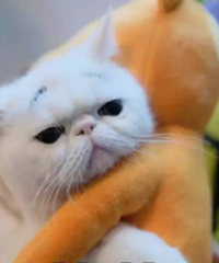 [����]�����ѷ��˽��֪ͨ������Ȼװ��û������