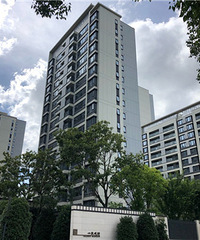 ���-ʮ���ۡ