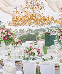 �����ֳ�6��С����