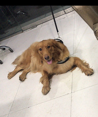 �޳�������ë