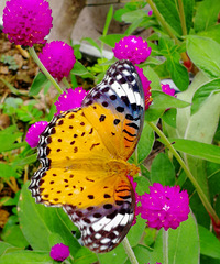 [������]������