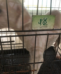 �������ı���mm������