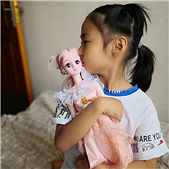 �޲����������������