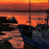 ��ϼ�еĽ�����԰