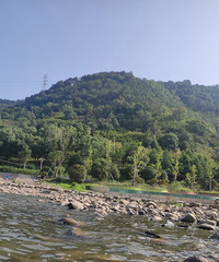 ֲ��԰������һ�仹����