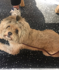 ��Ѱ�����¡�������·��ҹ�и����߶�