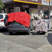 ����ɹ����ɹ����