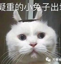 3�꺢�ӱ��������800�ȣ�ֻ��ҳ���������������...