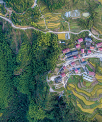 ʡ�ں��еĸ��ϵ�ò���и�����800���׵����´�