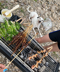 Ϊʲô��Ϫ������ˮ���ɾӲ�����