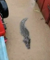 ֣�ݱ��꣡���㡢���㶼�ܳ����ˣ���