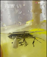 ����ѩ���ǡ������ˣ�Ů�Ӿ��ڲ����кȳ�...̫��θ