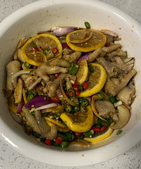 �����������ʼ�צ���ں��̳̣�