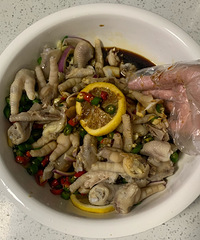 �����������ʼ�צ���ں��̳̣�