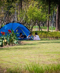 �ͺɡ�������¶Ӫ...��������а�����������Ŀ���