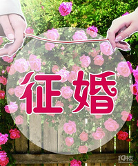 ������������Ĵ��壬��Ҫ���顭��