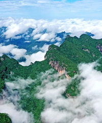 ���ɾӾ������������йȡ���̲����Ⱦ����ر�