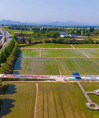 ���Ȧ��3D�ʻ桰���ޡ����յ��﹫԰���紵���˵ľ�������