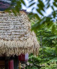 3�������������õ��Լ���·��ȥ��2���������й�һ�������