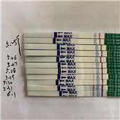 ���겻�з������黳��