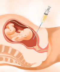 ����ɸ���ٽ���գ����޴�DNA�ã�������ˮ���̺ã�