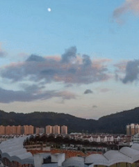 ���������ݵ��������