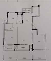 ����ƹ���������