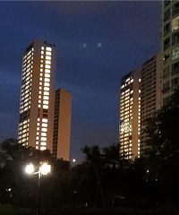 ����¥������������