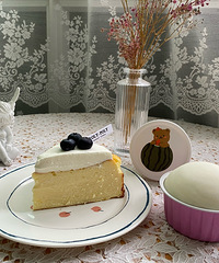 ��˹��֥ʿ���⣬֥ʿ�ر���������