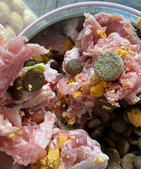 ���������ţ��ǽ���