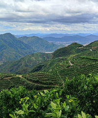 �����̻��Ĳ��߷磬�Լ�����ȥ����